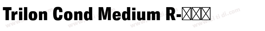 Trilon Cond Medium R字体转换
